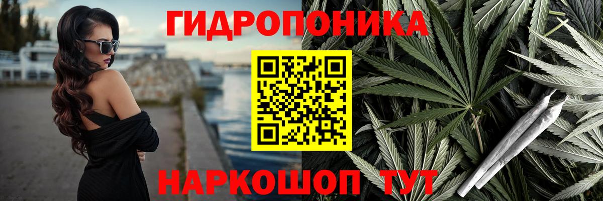 Канабис гибрид Кизилюрт